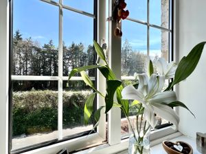 View To Front- click for photo gallery